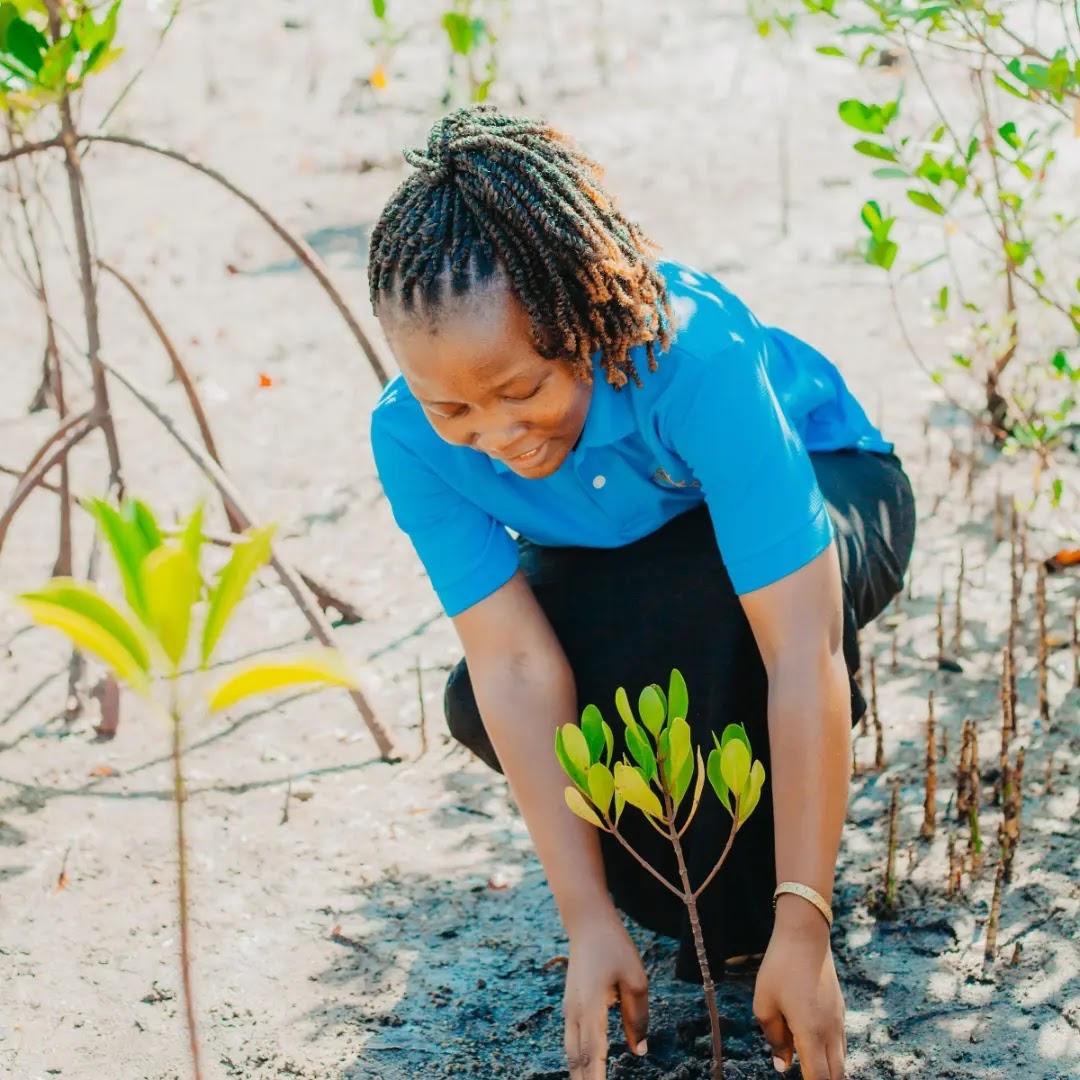 An environmental advocate planting a mangrove seedling along the coastal waters of the Kilwa Region.